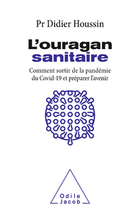 Electronic book L' Ouragan sanitaire