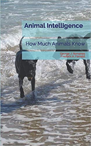 Electronic book Animal Intelligence
