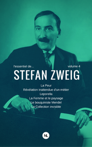 Livre numérique L'essentiel de Stefan Zweig, volume 4