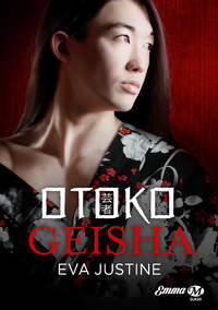 Livre numérique Otoko Geisha