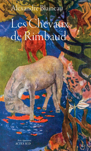 Livre numérique Les chevaux de Rimbaud