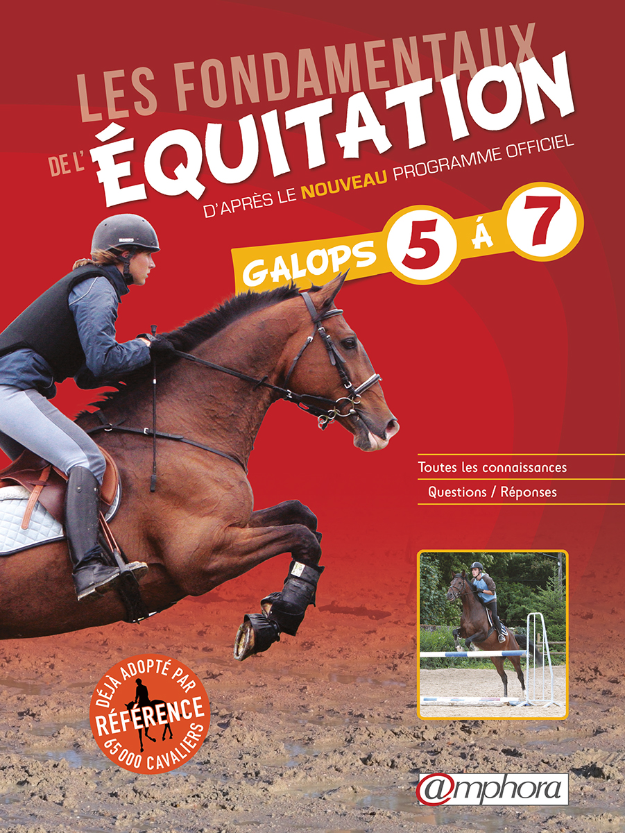 Ebook Les fondamentaux de l'équitation - Galop 5 à 7 par Catherine Ancelet  - 7Switch