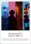 Electronic book Rentrée littéraire Flammarion 2014