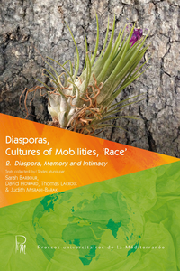 E-Book Diasporas, Cultures of Mobilities, ‘Race’ 2