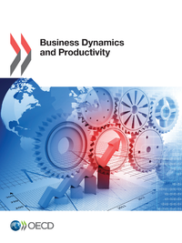 Electronic book Business Dynamics and Productivity