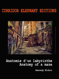 Livre numérique Anatomie d'un labyrinthe