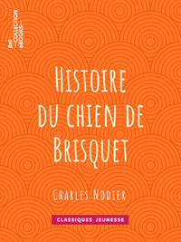 Livre numérique Histoire du chien de Brisquet
