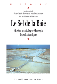 Electronic book Le sel de la Baie