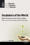 Electronic book Incubators of the World, best practises from Top Leaders