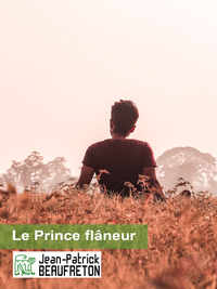 Livre numérique Le Prince flâneur