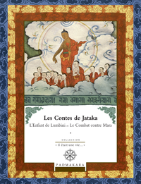 Livre numérique Contes de Jataka - Volume III