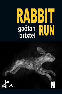 Electronic book Rabbit Run