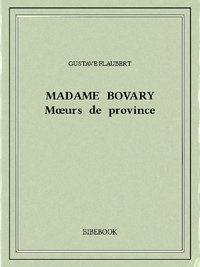 Livre numérique Madame Bovary — Mœurs de province