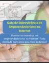 Livre numérique Guia de Sobrevivência do Empreendedorismo na Internet