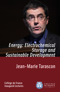 Livre numérique Energy: Electrochemical Storage and Sustainable Development