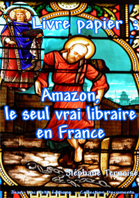 Livre numérique Livre papier : Amazon, le seul vrai libraire en France