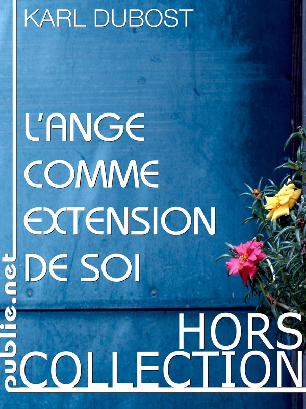 Ebook L'ange comme extension de soi vie numérique et poésie de la