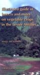 Libro electrónico Illustrated Guide of Insects and Mites on Vegetable Crops in the Lesser Antilles