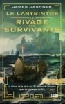 Livre numérique Le Labyrinthe : Le rivage des survivants - tome 01