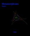 Electronic book Metamorphoses
