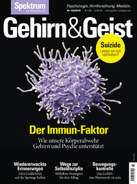 Electronic book Gehirn&Geist 3/2019 Der Immun-Faktor