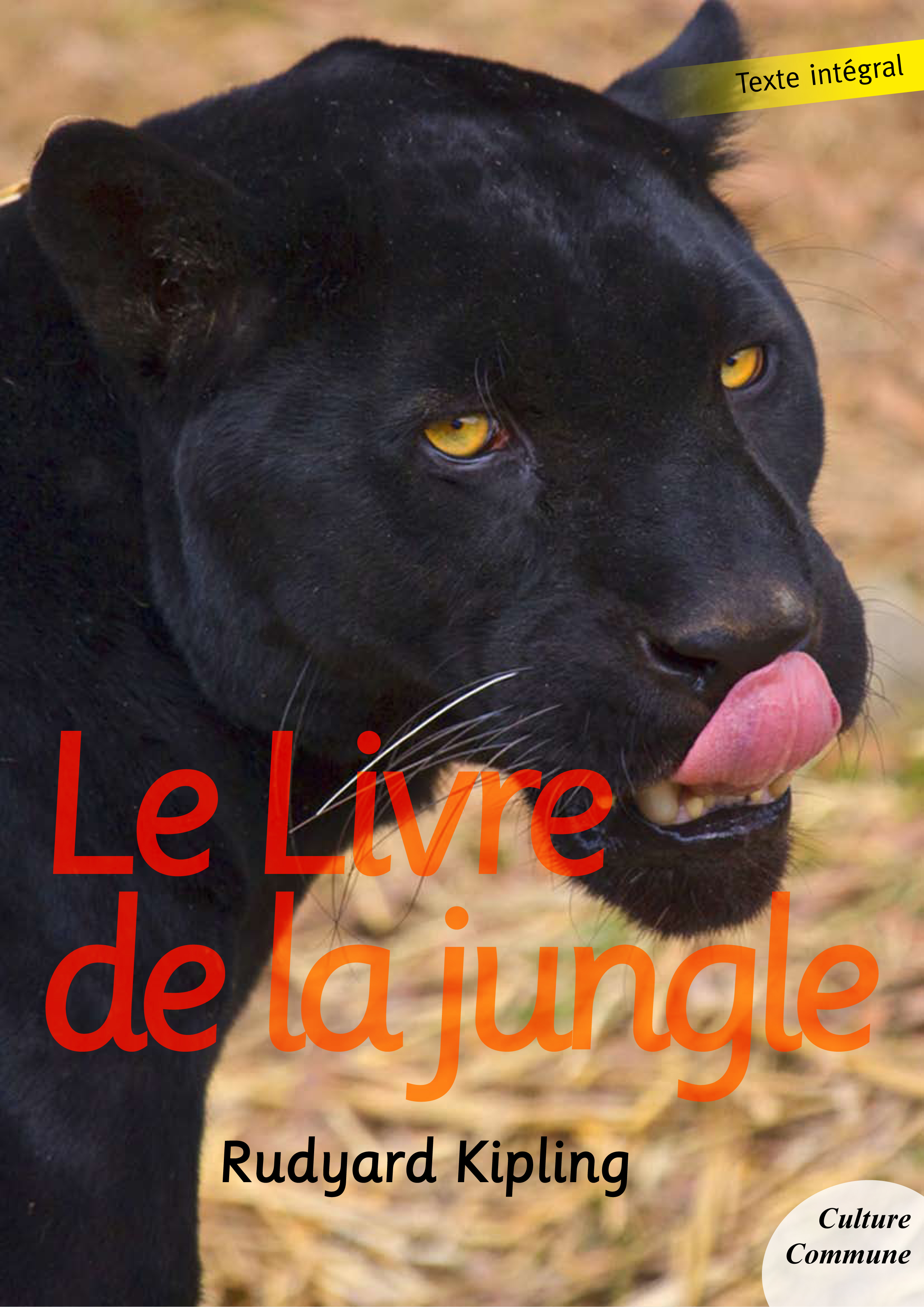 Nom De L Auteur Du Livre De La Jungle