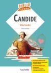 Livre numérique Bibliolycée - Candide, Voltaire
