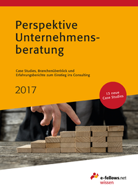 Libro electrónico Perspektive Unternehmensberatung 2017