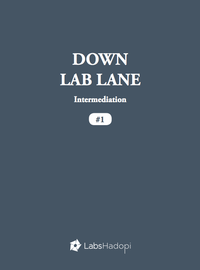 Electronic book Down Lab Lane: Intermediation