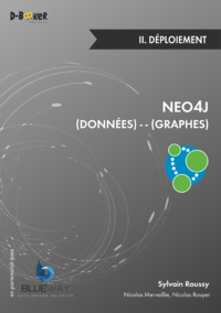 Livre numérique Neo4j : des données et des graphes - II. Déploiement