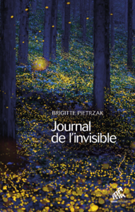 Livre numérique Journal de l'invisible