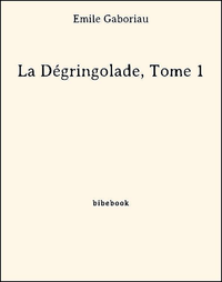 E-Book La Dégringolade, Tome 1