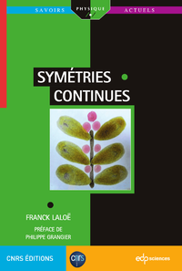Electronic book Symétries continues
