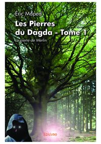 Livro digital Les Pierres du Dagda - Tome 1