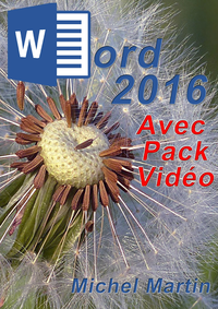 Livre numérique Word 2016 avec pack vidéo