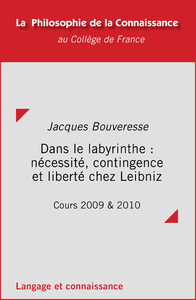 Livre numérique Dans le labyrinthe : nécessité, contingence et liberté chez Leibniz