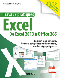 Livre numérique Travaux pratiques - Excel
