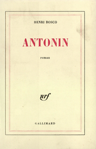 Electronic book Antonin