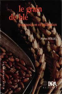 E-Book Le grain de blé
