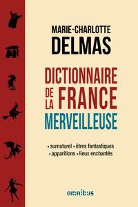 Livre numérique Dictionnaire de la France merveilleuse