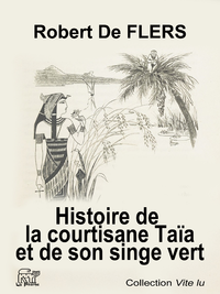 Livre numérique Histoire de la courtisane Taïa et de son singe vert
