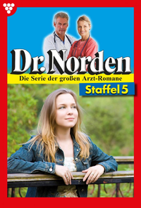 Libro electrónico Dr. Norden (ab 600) Staffel 5 – Arztroman