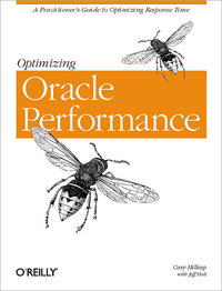 Livre numérique Optimizing Oracle Performance