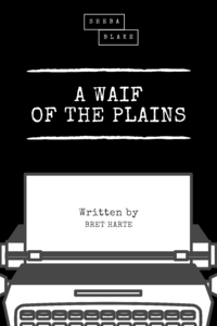 Electronic book A Waif of the Plains
