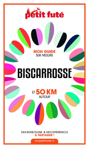 Livro digital BISCARROSSE ET 50 KM AUTOUR 2021 Carnet Petit Futé